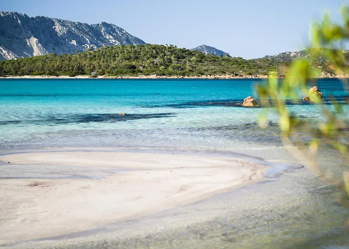 Villa Olive By Klodge *